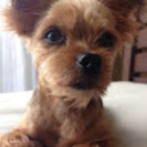 Meet your Posher, Jose rui